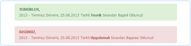 Direksiyon sınavı sonuç ekranı