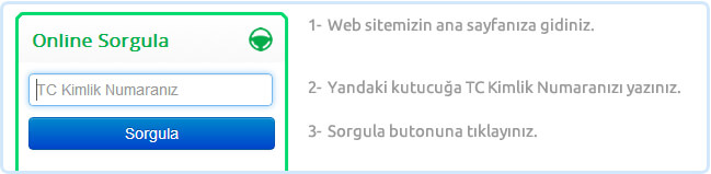 Direksiyon sınavı sonucu sorgulama ekranı
